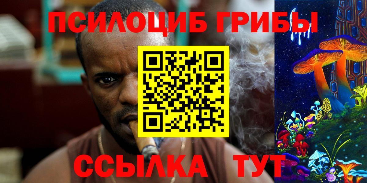 Галлюциногенные грибы прущие грибы Губкинский