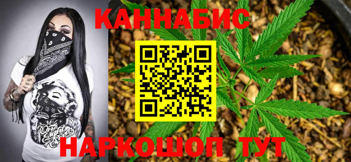 Бошки Шишки семена Губкинский